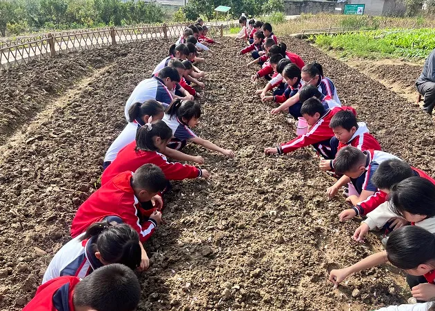 劳动教育在校园中稳步推进帮助学生成为适应时代合格人才